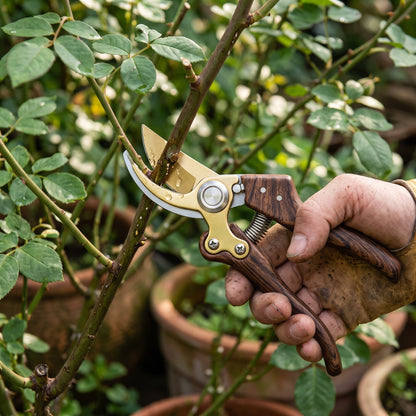 🌹 Wood-Grain Pruning Shears | Curved Metal Blades | Flower & Garden Care | Vintage-Style Hand Pruner