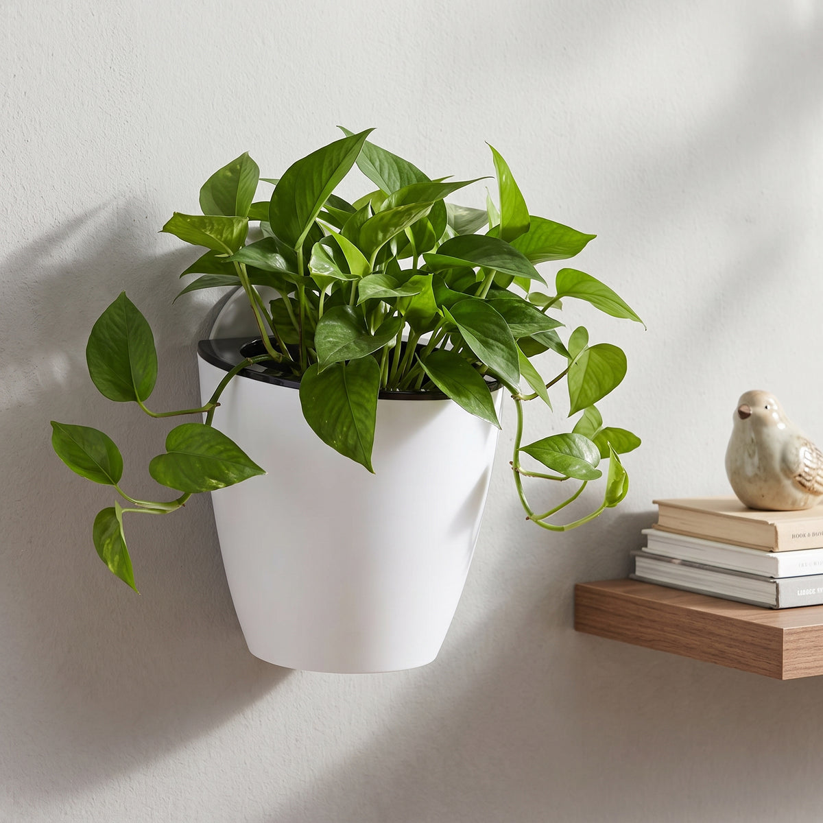 🪴 Wall-Mounted Planter | Vertical Plant Storage | Indoor Plants & Succulents | Space-Saving Hanging Pot