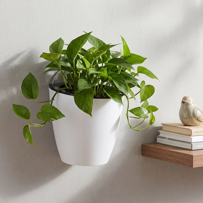 🪴 Wall-Mounted Planter | Vertical Plant Storage | Indoor Plants & Succulents | Space-Saving Hanging Pot