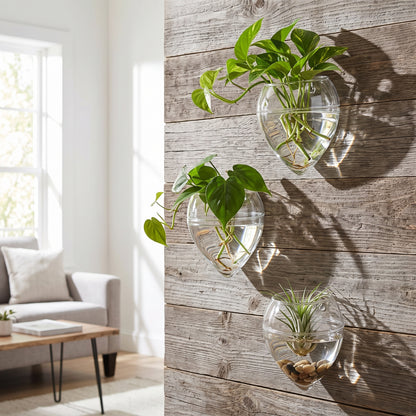 🌿 Wall-Mounted Hydroponic Planter | Clear Plant Container | Pothos & Water-Grown Plants | Hanging Wall Vase