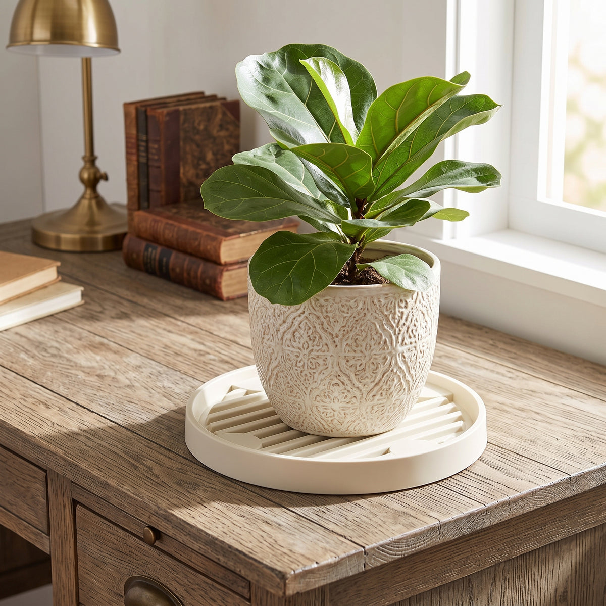 ☘️ Plant Pot Tray | Elevated Drainage Design | Indoor Plants & Succulents | Tabletop Water Catcher