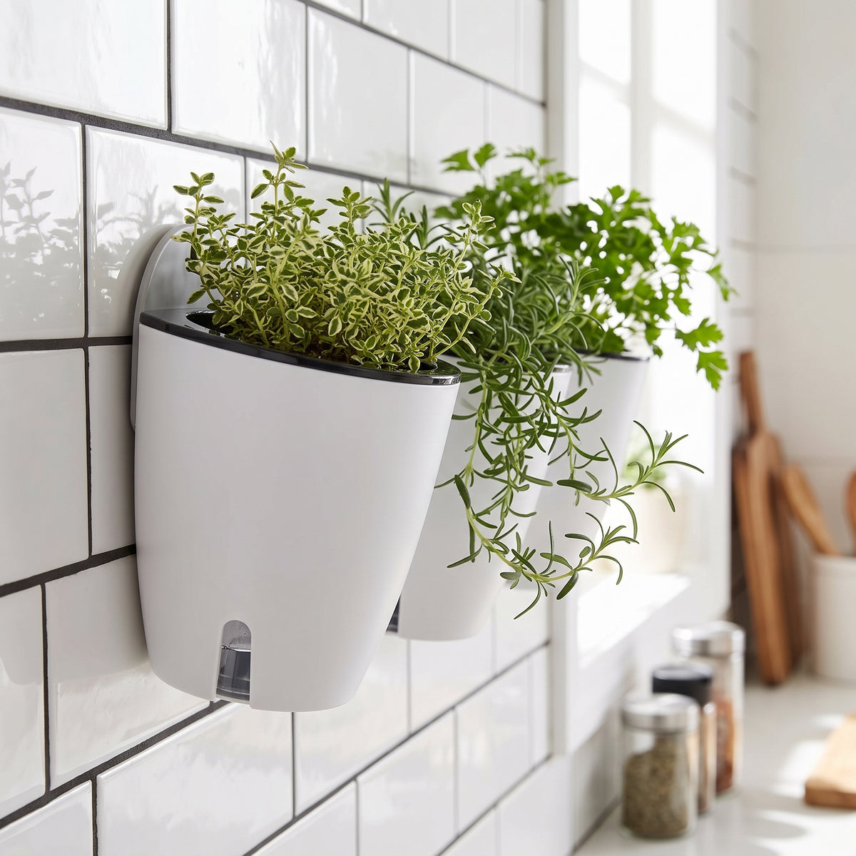 🪴 Wall-Mounted Planter | Vertical Plant Storage | Indoor Plants & Succulents | Space-Saving Hanging Pot