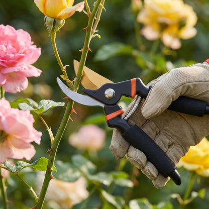 ✂️ Garden Pruning Shears | Curved Sharp Blades | Garden & Plant Care | Easy-Grip Hand Pruner
