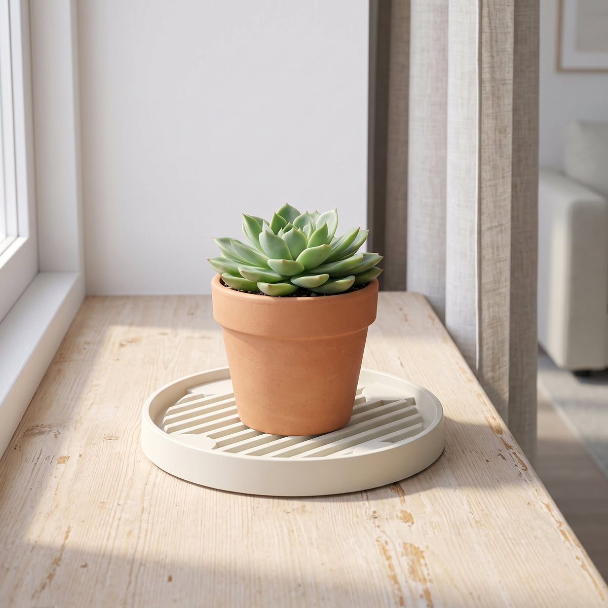 ☘️ Plant Pot Tray | Elevated Drainage Design | Indoor Plants & Succulents | Tabletop Water Catcher