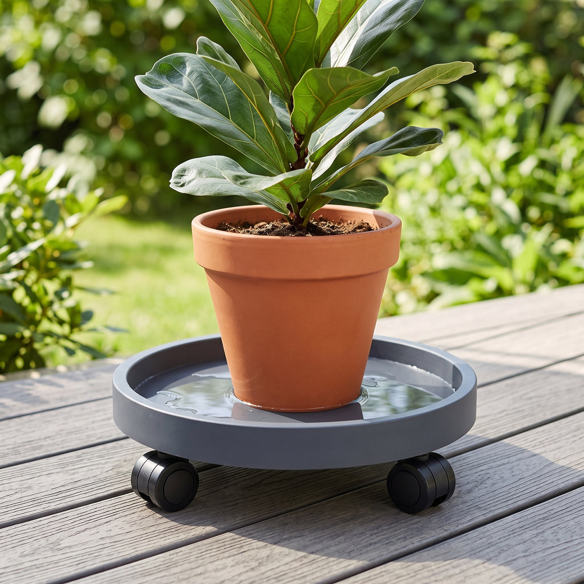 🛞 Rolling Plant Caddy | Wheeled Planter Base | Large Indoor Plants | Easy-Move Pot Stand