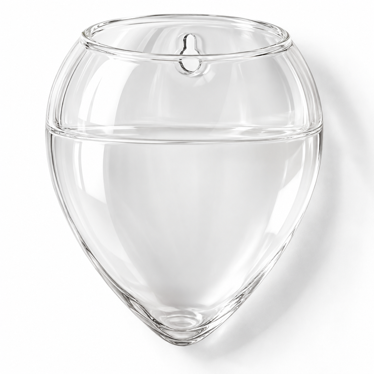 🌿 Wall-Mounted Hydroponic Planter | Clear Plant Container | Pothos & Water-Grown Plants | Hanging Wall Vase