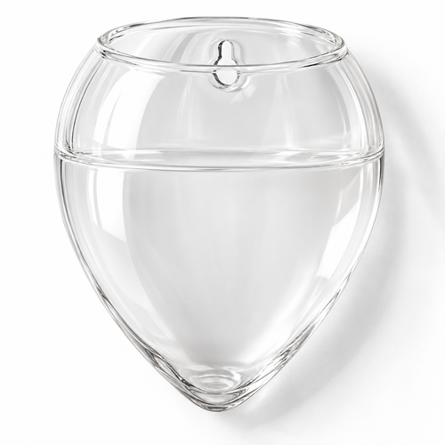 🌿 Wall-Mounted Hydroponic Planter | Clear Plant Container | Pothos & Water-Grown Plants | Hanging Wall Vase