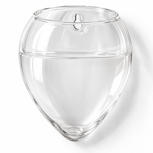 🌿 Wall-Mounted Hydroponic Planter | Clear Plant Container | Pothos & Water-Grown Plants | Hanging Wall Vase