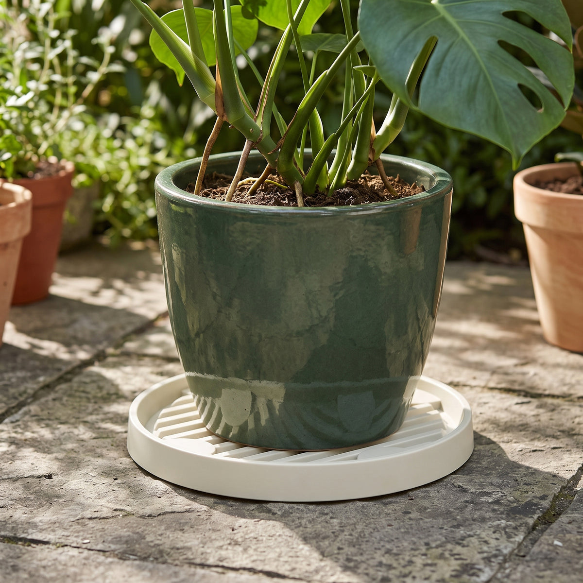 ☘️ Plant Pot Tray | Elevated Drainage Design | Indoor Plants & Succulents | Tabletop Water Catcher